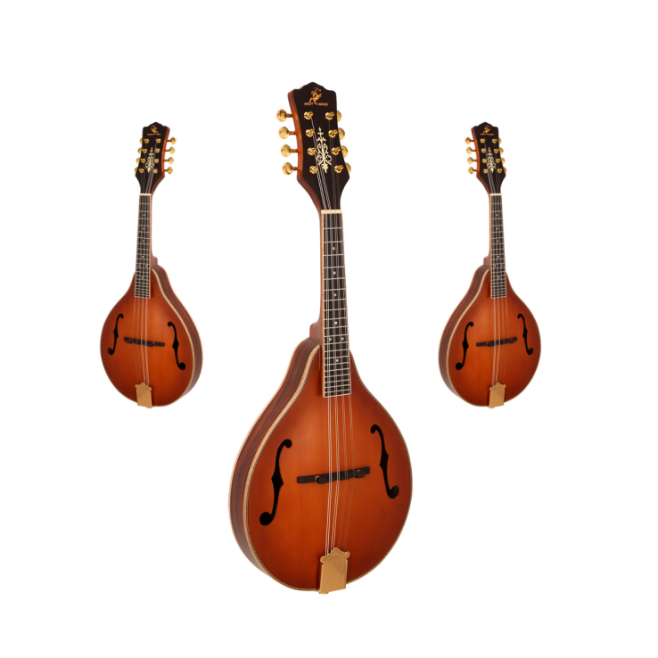 Hot Sale Classical 8 Strings M - Musical Instrument Mandolin incelemesi ve fiyatı
