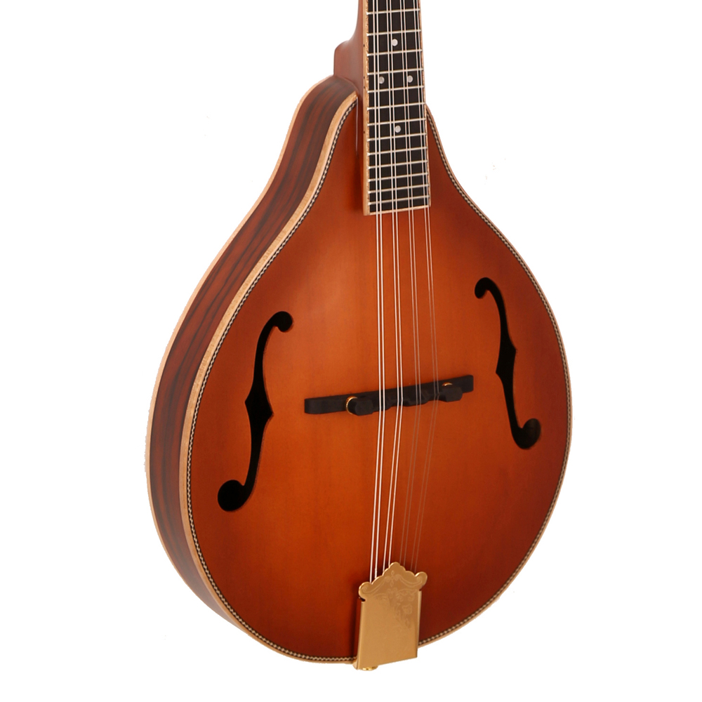 Hot Sale Classical 8 Strings M - Musical Instrument Mandolin incelemesi ve fiyatı